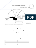 Prueba de Sistema Nervioso - Docx1