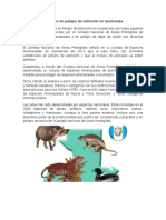 Animales en Peligro de Extinción en Guatemala