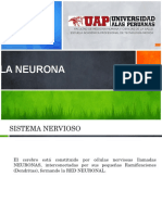 NEURONA