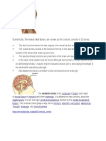 Functions of Human Brain