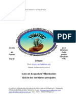 GUIADELOSMERIDIANOSPRINCIPALES.docx