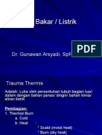 Present. Luka Bakar- Listrik (Kuliah KK- Gigi).ppt