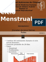 Ciclo Menstrual