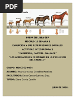 Download Evolucion Darwin Wallace M16S1 by Arturo Armando Gonzalez SN322434758 doc pdf