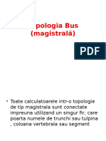 Topologia Bus (magistral¦â)  stea