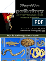 Reptile Pathology - Necropsy Techniques