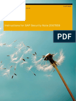 Instructions for SAP Security Note 2067859