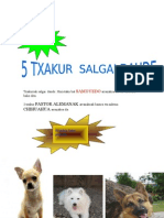 5 Txakurrak Salgai