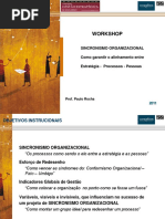 Sincronismo Organizacional Paulo Rocha