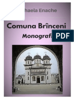 Comuna Branceni. Monografie