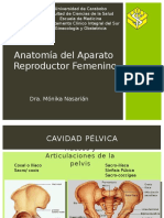 Anatomia reproductor femenino.pptx