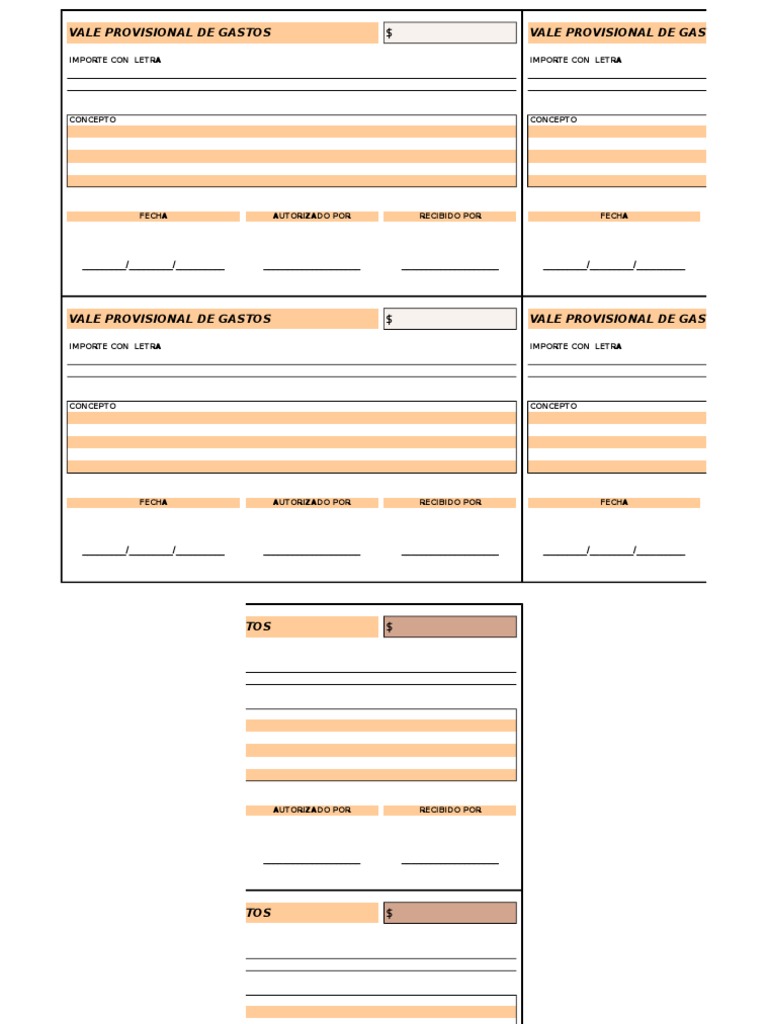 Formato de Vale Provisional de Gastos | PDF