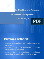 4 Bacterias Patogenas