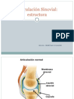 Articulación Sinovial