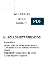 Musculos de La Cadera