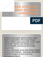 15 PPT Adrenergik New