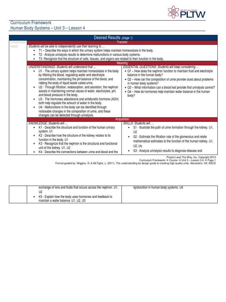 C Hbs Fwk 3 4 V3 Urinary System Organ Anatomy