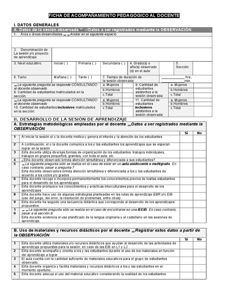 Ficha de Acompañamiento Pedagógico Docente | PDF | Maestros | Aprendizaje