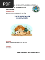 herramientas de evaluacion de observacion