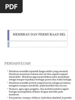 Download Membran Dan Permukaan Sel by Reski Ade Putera SN32253403 doc pdf