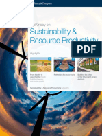 McKinsey on Sustainability and Resource Productivity Number 3.pdf