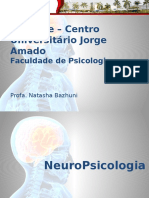 Aula 5. Neuropsicologia - Laudo Neuropsicológico