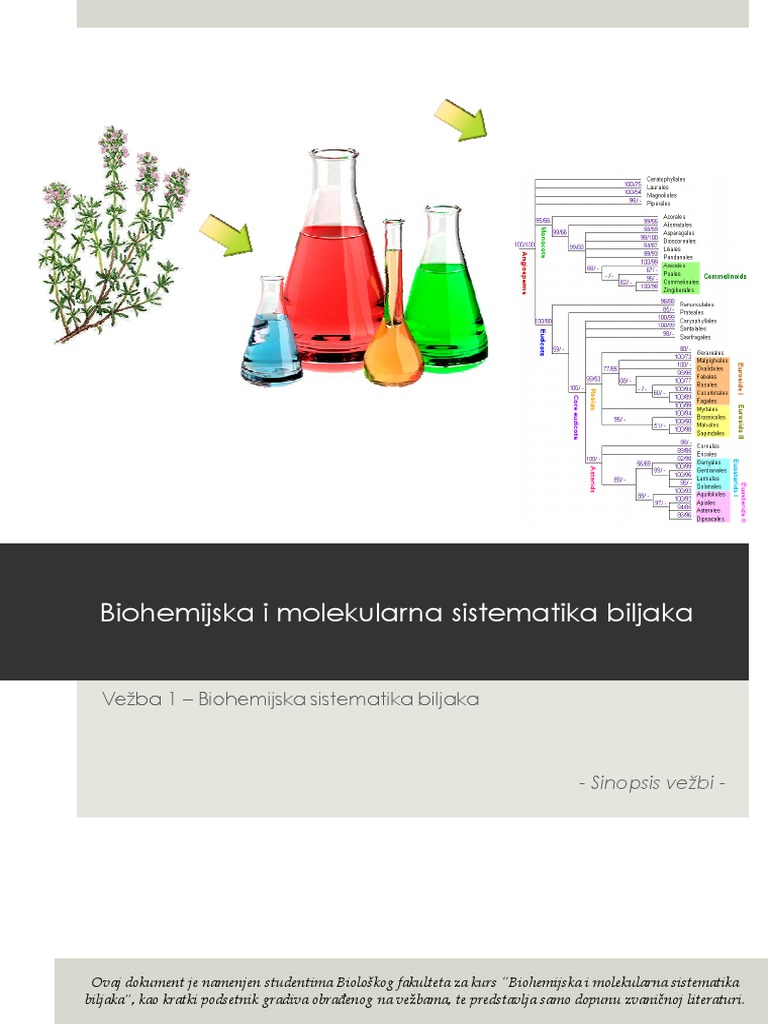 BMSB V1 | PDF