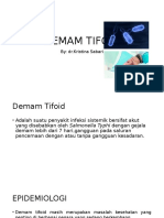 Demam Tifoid