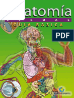 Anatomía Guía Básica