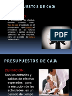 Presupuesto - Caja