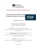 Crescimento de Microalgas em Águas Residuais