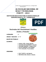 derivadosdelchuchuhuasipastillasjarabeypomada-130927114434-phpapp02.docx
