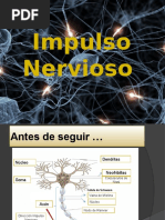 Impulso Nervioso y Sinapsis Explicados | PDF | Potencial de acción ...