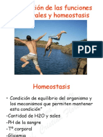 Regulación de Las Funciones Corporales y Homeostasis