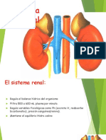 Sistema Renal 2016