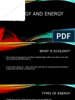 Ecology and Energy Notes