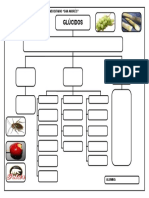 PRACTICA BIOLOGIA 5° CARBOHIDRATOS