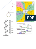 bioquimica.docx