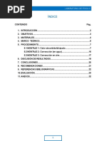 Informe Calor Discipado, Calor Absorvido, Convecciòn