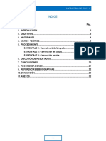 Informe Calor Discipado, Calor Absorvido, Convecciòn