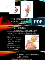 The Importance of A Healthy Respiratory System