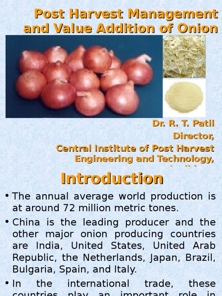 Onion PDF Onion Relative Humidity