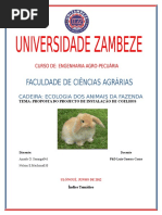 Projecto-Cunicultura