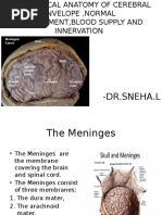 Dural Folds and Their Functions | PDF | Human Anatomy | Human Head And Neck