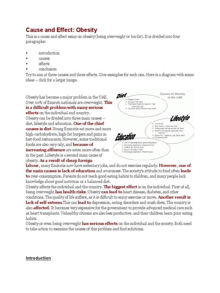 Cause and effect essay sample image