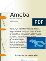 Ameba