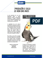 Reproducao e Ciclo de Vida Das Aves PDF