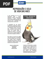 reproducao-e-ciclo-de-vida-das-aves.pdf