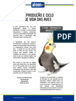 Ciclo Reprodutivo e Cuidados com Aves