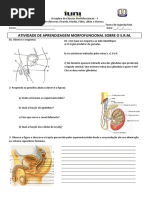 APACMF1sistemareprodutormasculino_20141108143212